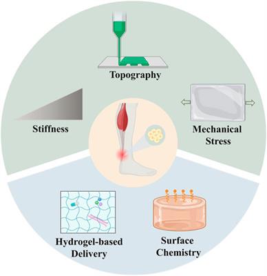 Applications of functionally-adapted hydrogels in tendon repair